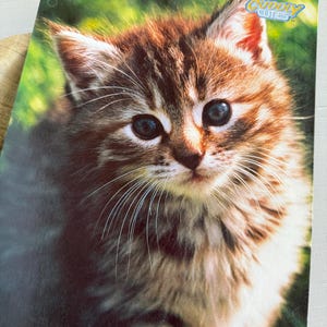 Op de afbeelding: Een notitieboekomslag met een close-up van een bruin en tan katje met blauwe ogen. Het katje heeft lange snorharen en staat tegen een vage groene achtergrond. De woorden "CUDDLY CUTIES" zijn in blauw en geel gedrukt.