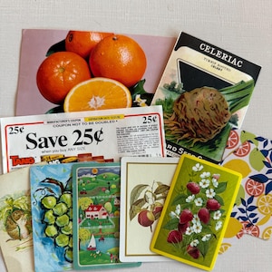 Florida Oranges und Tang Vintage Coupon Ephemera Postkarte Spielkarten für Sommer Picknicks und Rezept Junk Journals Obst Lebensmittelgeschäft Papier Geschenk
