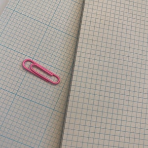 May include: Two pink paper clips on a gridded notebook page.