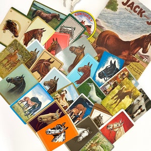 24 cartes à jouer cheval vintage unique Derby Preakness Belmont Western English poney selle pur-sang équitation éphémère étiquette cadeau pour entraîneur