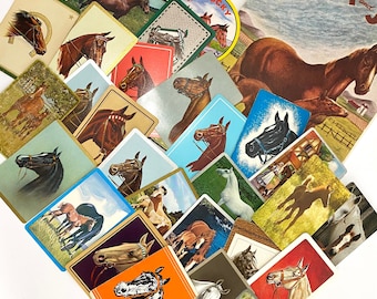 24 enkele vintage paardenspeelkaarten Derby Preakness Belmont Western Engelse ponyzadel volbloed paardrijden Ephemera cadeaukaartje voor trainer