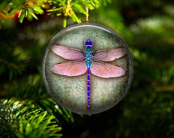 C Dragon Fly Hanging Ornament two-toned Acrylic Home Decor