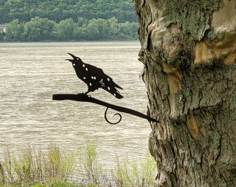 Tree Bird- Crow Screaming