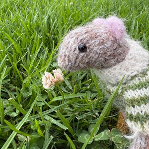 May include: A hand-knitted mouse figurine featuring a brown and white textured head with small pink ears and a black bead eye. The mouse wears a fuzzy green and white striped sweater and has small pink feet, positioned near a white clover flower.