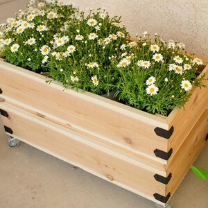 Rolling Planter Holzbearbeitungs-Plan PDF | Einfacher DIY Mobile Blumenständer Blueprint für Garten & Wohnkultur
