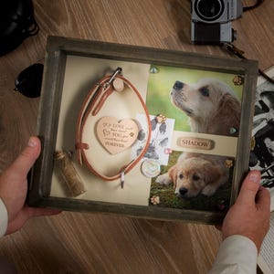 May include: A wooden shadow box containing a dog collar, photographs, and a heart-shaped plaque. The plaque reads "If love could have saved you, you would have lived forever." The photos feature a golden retriever.