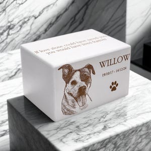a box with a picture of a dog on it