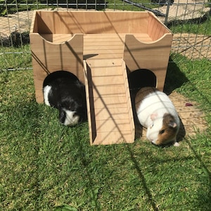 May include: A wooden guinea pig hutch with a ramp and two openings. Two guinea pigs, one black and white, the other brown and white, are near the hutch on green grass. A wire fence is in the background.