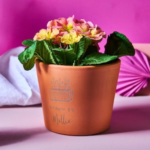 Personalised &#39;Grown By&#39; Plant Pot