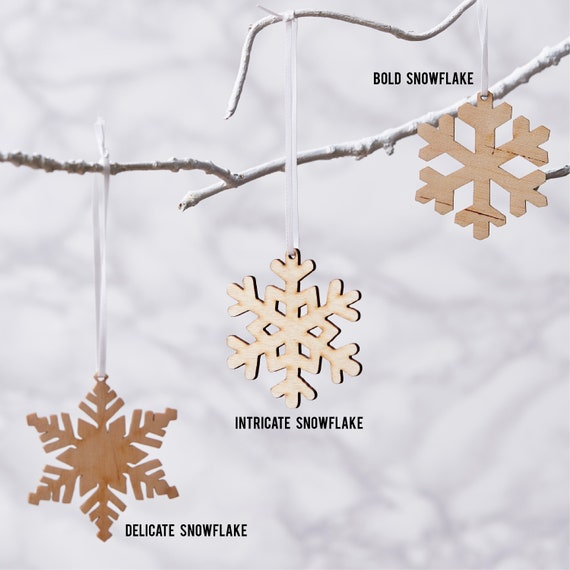 Arctic Snowflake Decorations 