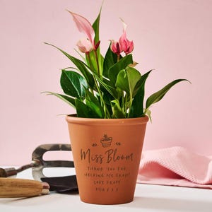 Puede incluir: Una maceta de terracota con el texto "Miss Bloom" y un mensaje. Contiene una planta verde con flores rosas. Una herramienta de jardinería y un paño rosa están en el fondo. La maceta mide unos 15 cm de alto.