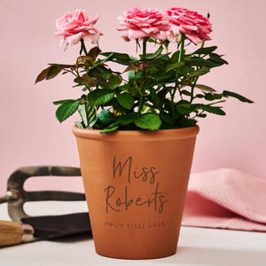 Puede incluir: Una maceta de terracota con rosas rosas y hojas verdes, con la inscripción "Miss Roberts, Holly Class 2025". La maceta está sobre una superficie blanca con un fondo rosa. También se ven una paleta y un paño rosa.