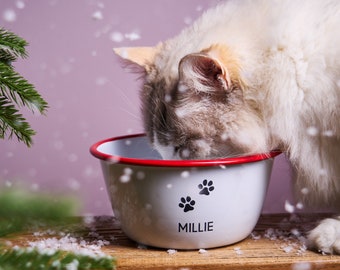 Personalised Christmas Enamel Pet Bowl