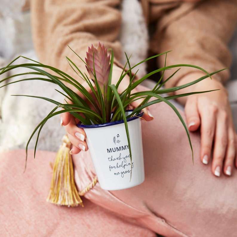 Personalised Engraved Planter image 6