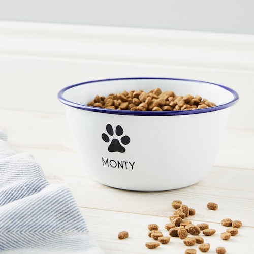 remote control cat door