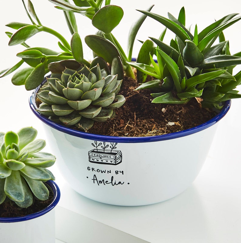 Enamel Personalised Planter image 2