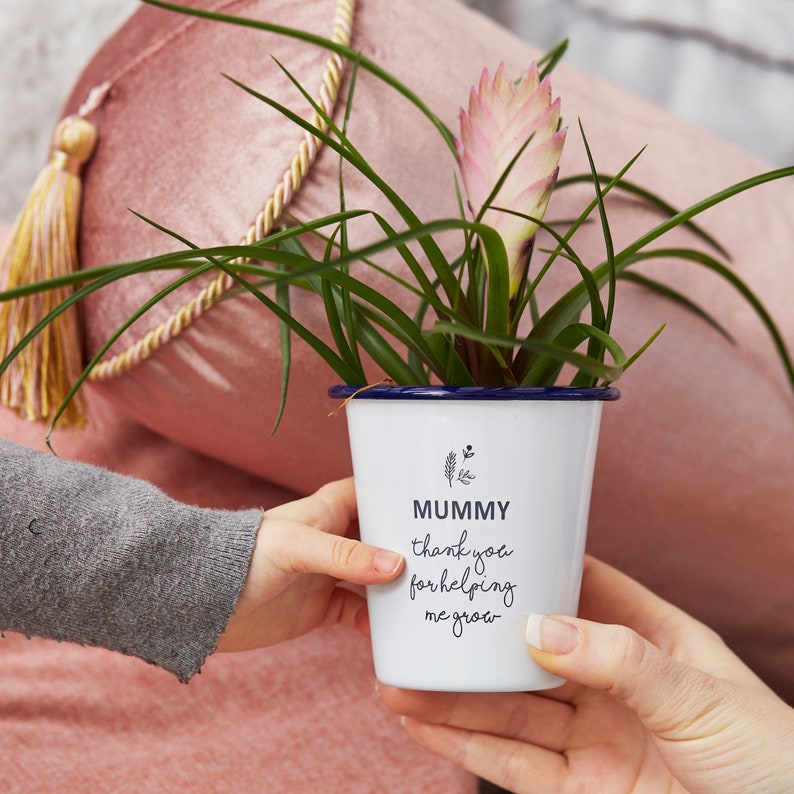 Personalised Engraved Planter image 1