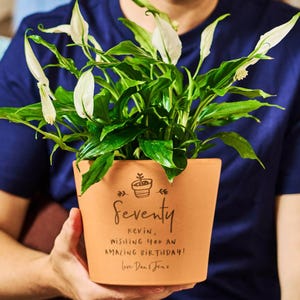 May include: A potted peace lily plant with white flowers and green leaves. The terracotta pot is inscribed with the word "seventy", a birthday message, and a small plant illustration.
