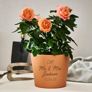 Peut inclure: Un pot en terre cuite avec un rosier. Le pot porte l'inscription "Mr & Mrs Jackson" et la date "12.09.25". Les roses sont de couleur pêche-orange avec des feuilles vertes. Des outils de jardinage sont en arrière-plan.