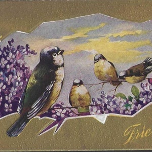 Quatre oiseaux dans des branches de lilas Carte postale de l'amitié ancienne de 1911 Avec fils oblitérés