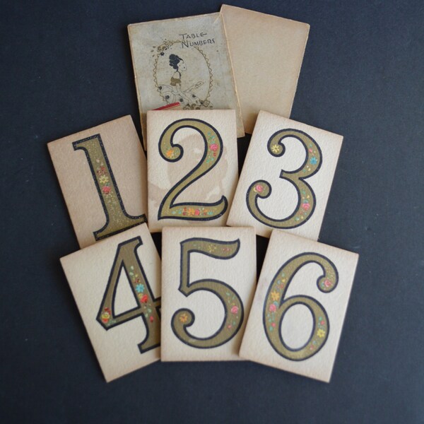 Set of 6 Antique Hand Painted Table Numbers – Delicate Floral Design