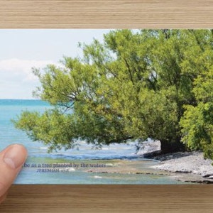 Peut inclure: Un arbre vert dont les branches s'étendent au-dessus d'une étendue d'eau bleue. Le texte "Be as a tree planted by the waters... Jeremiah 17:8" est en bas de l'image.
