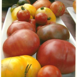 Food Photography Heirloom Tomato Platter Blank Note Card Kitchen Art Summer Bounty Colorful Tomatoes image 1