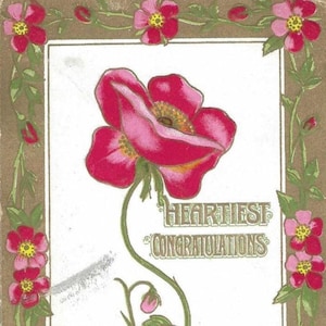 Carte postale ancienne avec un seul coquelicot rouge et bordure dorée de fleurs roses - Anniversaire d'août 1909 avec annulation du drapeau - Toutes nos félicitations