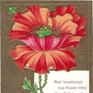 Carte postale d'anniversaire ancienne en relief coquelicots rouges - anniversaire d'août 1909 - strophe de voeux d'anniversaire