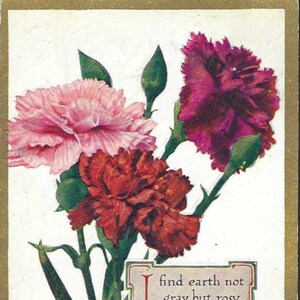 Oeillets rouges et roses avec vers de Robert Browning, 1910 - Naissance de janvier - Anniversaire de janvier