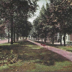 North Boulevard DAYTON Ohio Antique Postcard 1909  - Tree Lined Street and View of Stately Homes