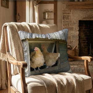 Buff Orpingtons Chickens in Window ~ Velveteen Decorative Pillow Cover 18x18  ~ Barnyard Best Friends