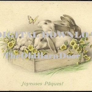 May include: Three white bunnies with brown ears are nestled in a wooden box with yellow flowers. The box is surrounded by green grass and the text "Joyeuses Pâques!" is written below the box.