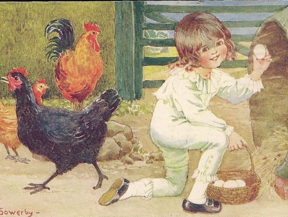 Millicent Roche Millicent Rhode