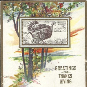 Dinde de Thanksgiving dans les bois Carte postale de Thanksgiving antique en relief inutilisée des années 1910