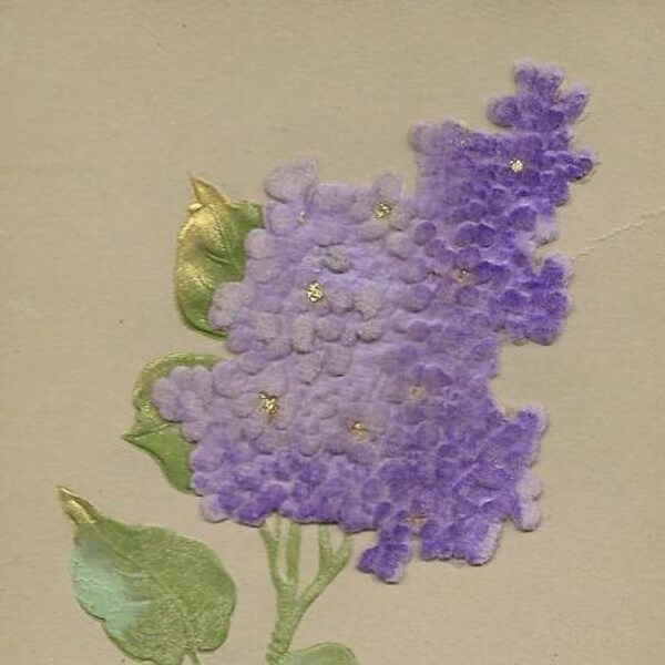 LILACS - flocked purple Lilacs on vintage postcard 1908 Stamford Conn and flag cancel