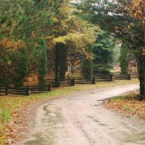 Fall Colors Along A Country Roadway Woven Split Rail Fence Landscape Photography on Blank Note Card Autumnal Colours All Occasion Card image 2