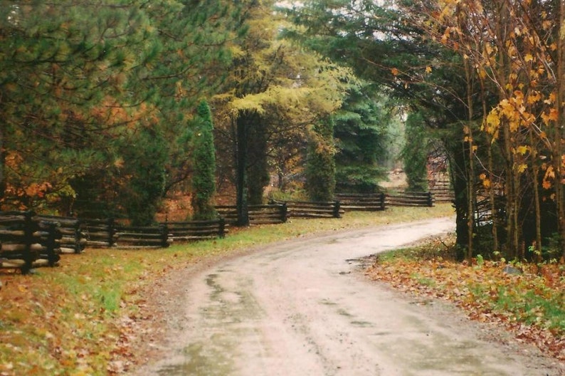 Fall Colors Along A Country Roadway Woven Split Rail Fence Landscape Photography on Blank Note Card Autumnal Colours All Occasion Card image 2