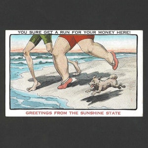 Carte postale bande dessinée salutations de la Sunshine State (Floride) homme, femme et chien se précipitant dans l'eau - Hartman Card Co