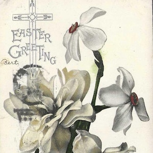 Carte postale de Pâques 1907 jonquilles et jonquilles blanches avec annulation du drapeau - Série de fleurs de cartes postales de Pâques de Tuck and Sons