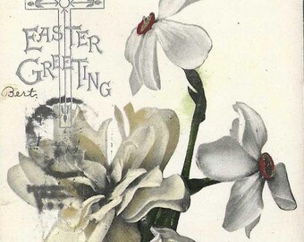 White Daffodils and Jonquils  Antique Easter Postcard 1907 With Flag Cancel - Tuck and Sons Flower Series