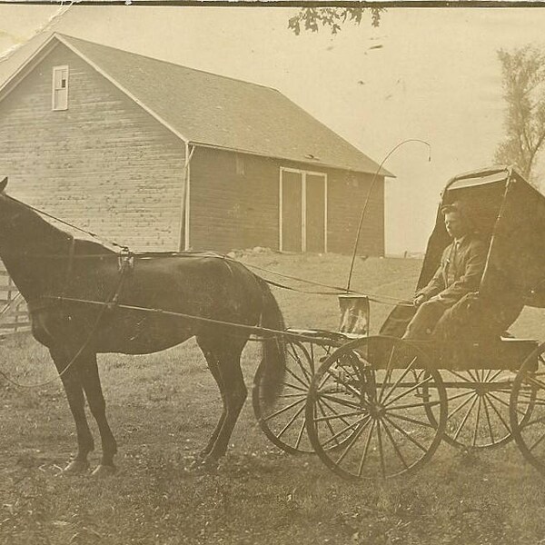 Antique RPPC Gentleman Farmer With Horse and Buggy – Carriage Ride to Town - Indiana Farm