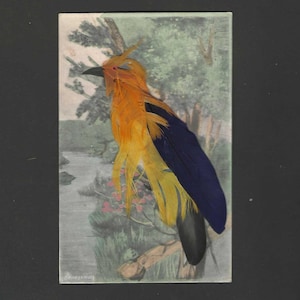 Carte postale ancienne inutilisée jaune vif et noir avec de vraies plumes - Ancien bijou artisanal (peint à la main)