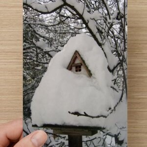 Maison d'oiseau couverte de neige sur carte de correspondance vierge Photographie de la nature dans la neige blanche fraîche - Jolie nouvelle carte pour la maison