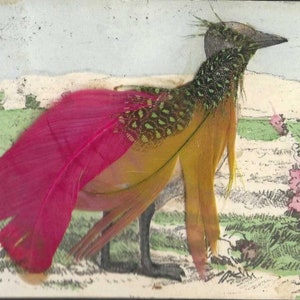 Carte postale ancienne rose vif et oiseau orange avec de vraies plumes - Ancienne pierre gemme fabriquée à la main (peinte à la main) 1907 Plumes magnifiquement colorées