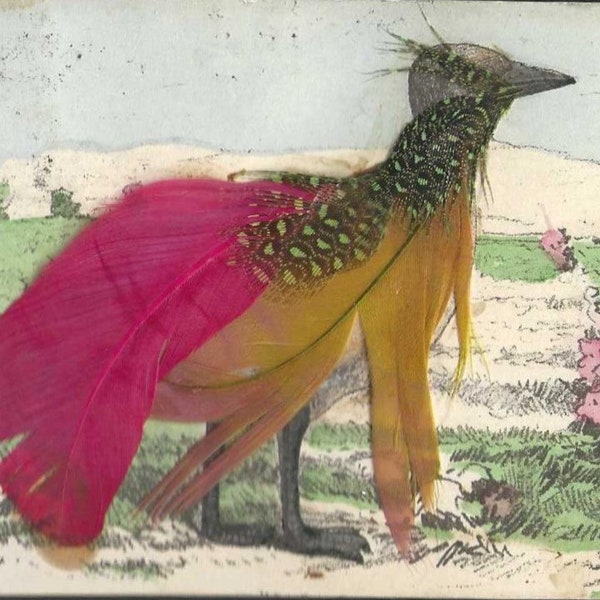 Hot Pink and Orange Bird Antique Postcard With Real Feathers - Old Handgemalt (Handpainted) 1907 Beautifully Colored Feathers