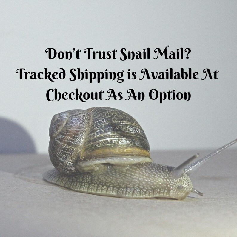 Puede incluir: Un caracol marr&oacute;n y gris con una concha sobre una superficie blanca. El texto "Don't Trust Snail Mail? Tracked Shipping is Available At Checkout As An Option" est&aacute; por encima del caracol.
