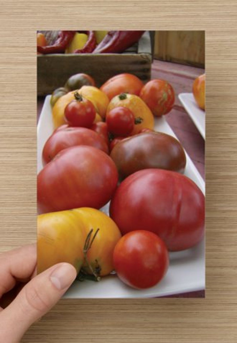 Food Photography Heirloom Tomato Platter Blank Note Card Kitchen Art Summer Bounty Colorful Tomatoes image 2