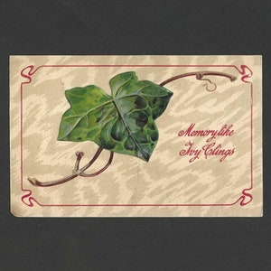 Memory Like Ivy Clings Carte postale ancienne en relief PFB Paul Finkenrath 1908 - Belle carte postale de l'amitié