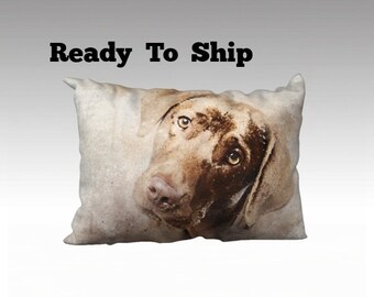 Chocolate Lab 20 x 14 Lumbar Pillow Cover Home Décor Dog Lover’s Gift READY TO SHIP